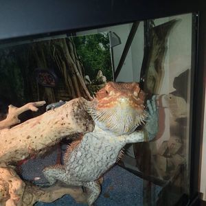 Meet your Posher, Jenifer